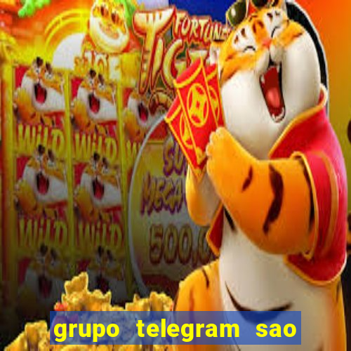 grupo telegram sao jose do rio preto